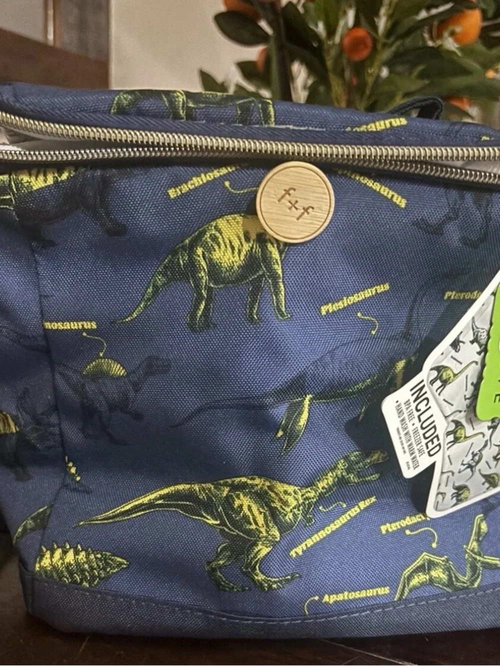 Fit & Fresh Navy Dinosaur Linch Tote 10x10 reusable sandwich bags